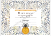 Dipoml_silver_100_3E600